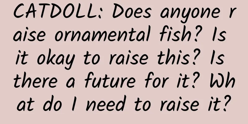 CATDOLL: Does anyone raise ornamental fish? Is it okay to raise this? Is there a future for it? What do I need to raise it?