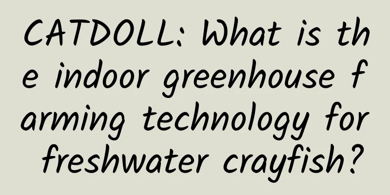 CATDOLL: What is the indoor greenhouse farming technology for freshwater crayfish?