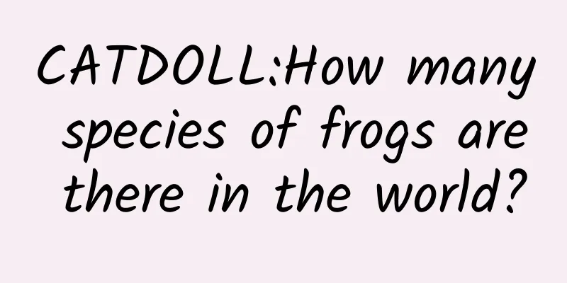 CATDOLL:How many species of frogs are there in the world?