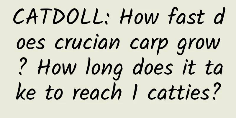 CATDOLL: How fast does crucian carp grow? How long does it take to reach 1 catties?
