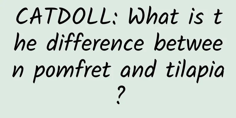 CATDOLL: What is the difference between pomfret and tilapia?