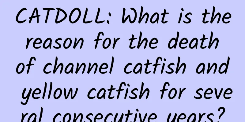 CATDOLL: What is the reason for the death of channel catfish and yellow catfish for several consecutive years?