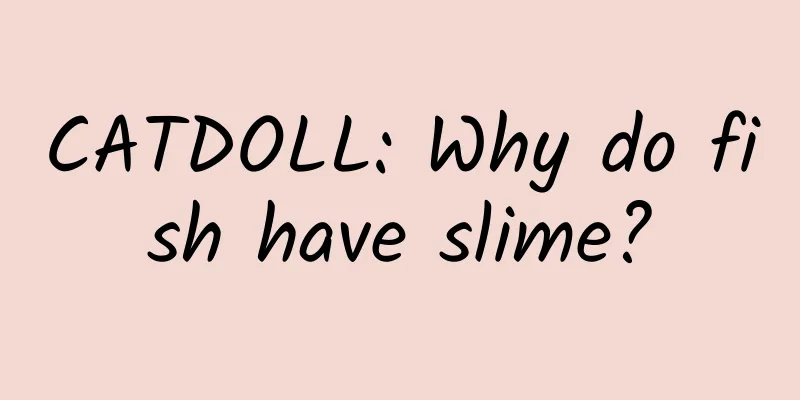 CATDOLL: Why do fish have slime?