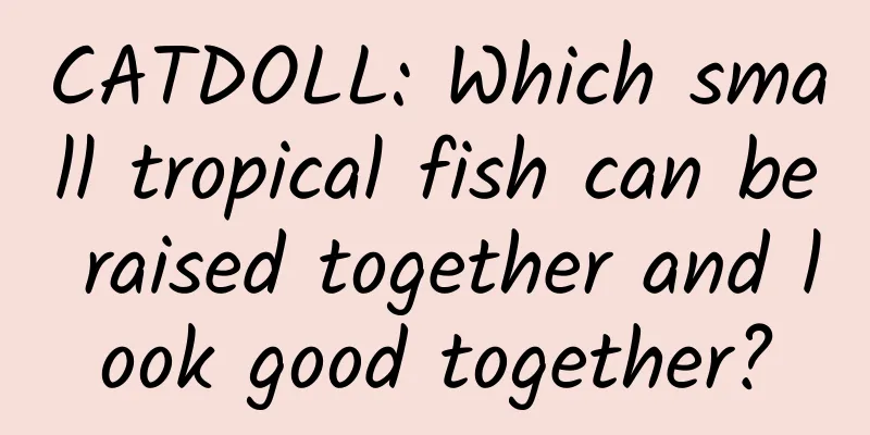 CATDOLL: Which small tropical fish can be raised together and look good together?