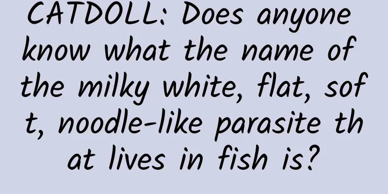 CATDOLL: Does anyone know what the name of the milky white, flat, soft, noodle-like parasite that lives in fish is?