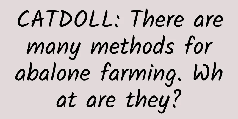 CATDOLL: There are many methods for abalone farming. What are they?