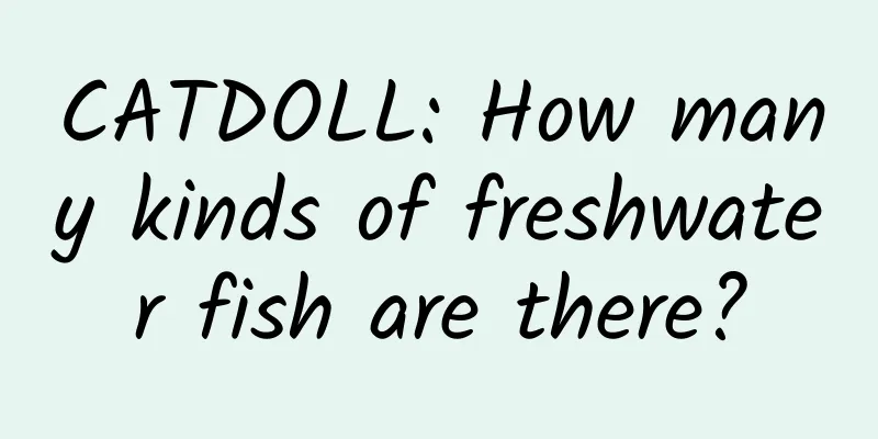 CATDOLL: How many kinds of freshwater fish are there?