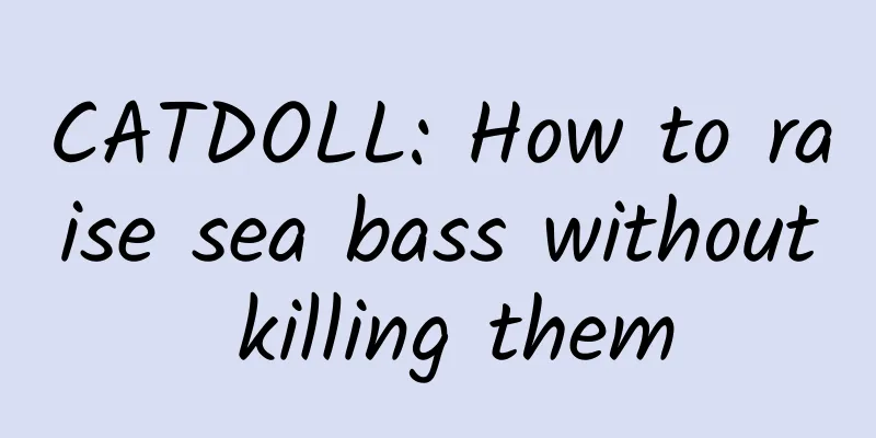 CATDOLL: How to raise sea bass without killing them