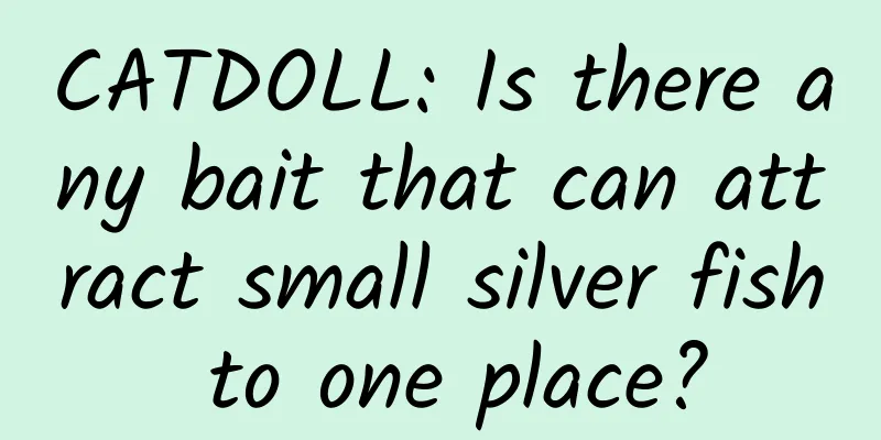 CATDOLL: Is there any bait that can attract small silver fish to one place?