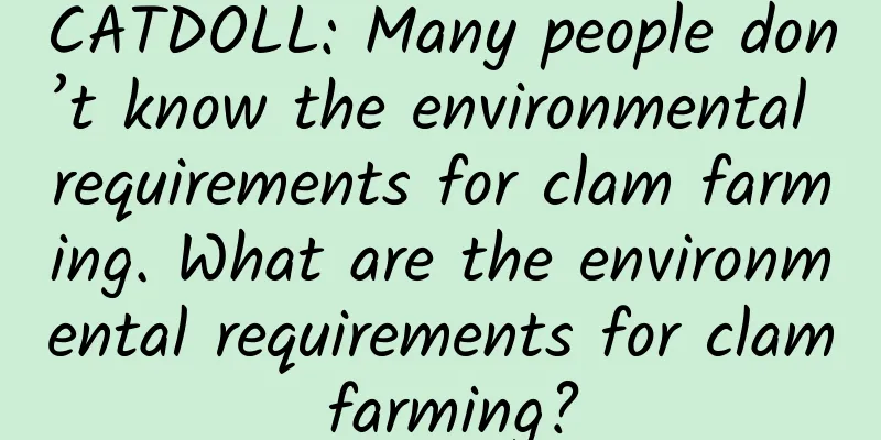 CATDOLL: Many people don’t know the environmental requirements for clam farming. What are the environmental requirements for clam farming?
