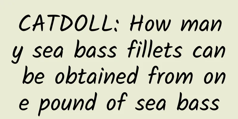 CATDOLL: How many sea bass fillets can be obtained from one pound of sea bass