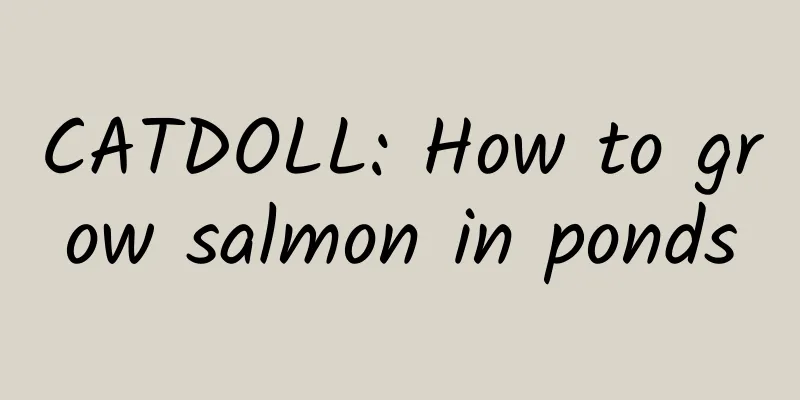 CATDOLL: How to grow salmon in ponds
