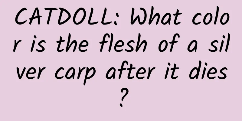 CATDOLL: What color is the flesh of a silver carp after it dies?