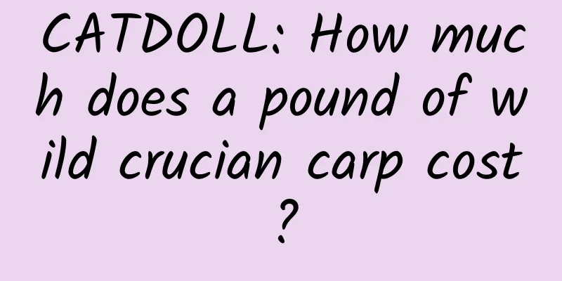 CATDOLL: How much does a pound of wild crucian carp cost?