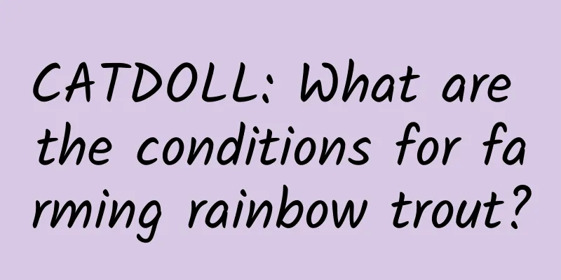 CATDOLL: What are the conditions for farming rainbow trout?