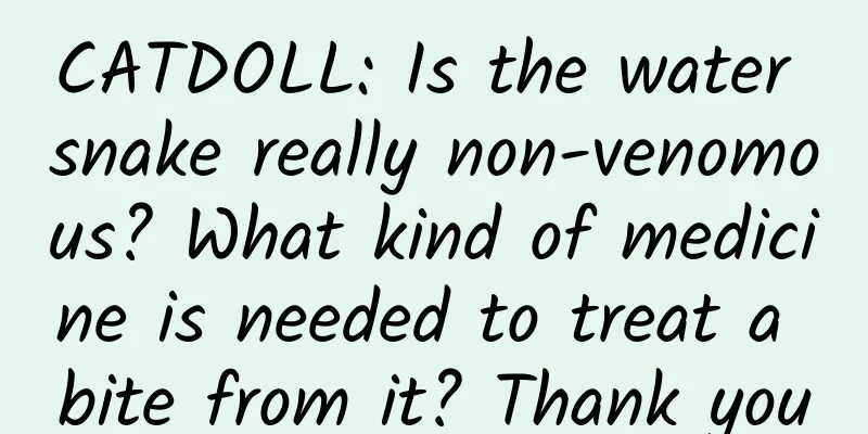 CATDOLL: Is the water snake really non-venomous? What kind of medicine is needed to treat a bite from it? Thank you