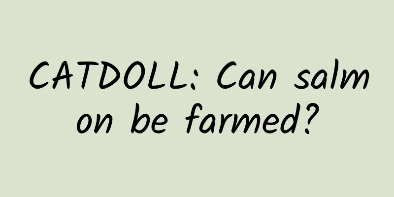 CATDOLL: Can salmon be farmed?