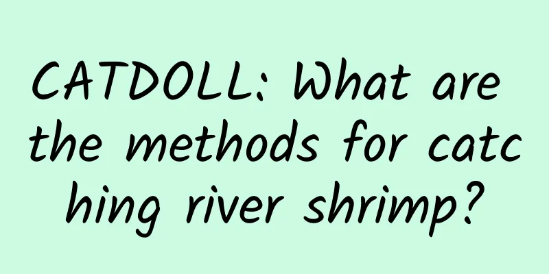 CATDOLL: What are the methods for catching river shrimp?