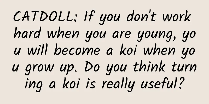 CATDOLL: If you don't work hard when you are young, you will become a koi when you grow up. Do you think turning a koi is really useful?