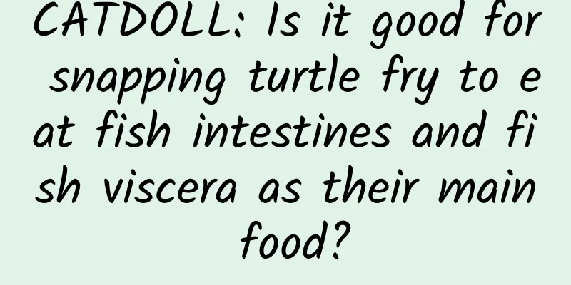 CATDOLL: Is it good for snapping turtle fry to eat fish intestines and fish viscera as their main food?