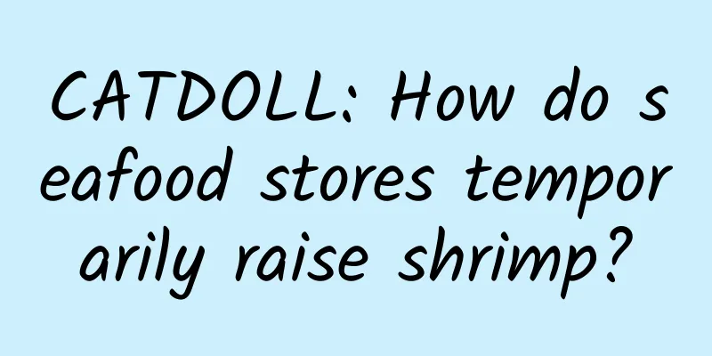 CATDOLL: How do seafood stores temporarily raise shrimp?