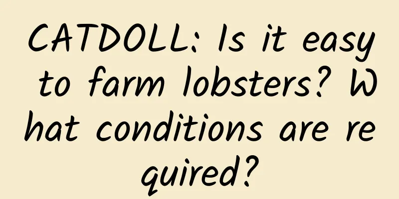 CATDOLL: Is it easy to farm lobsters? What conditions are required?