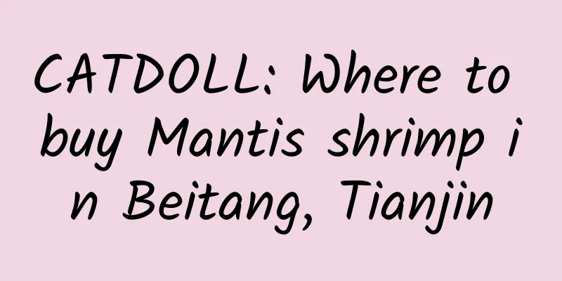 CATDOLL: Where to buy Mantis shrimp in Beitang, Tianjin