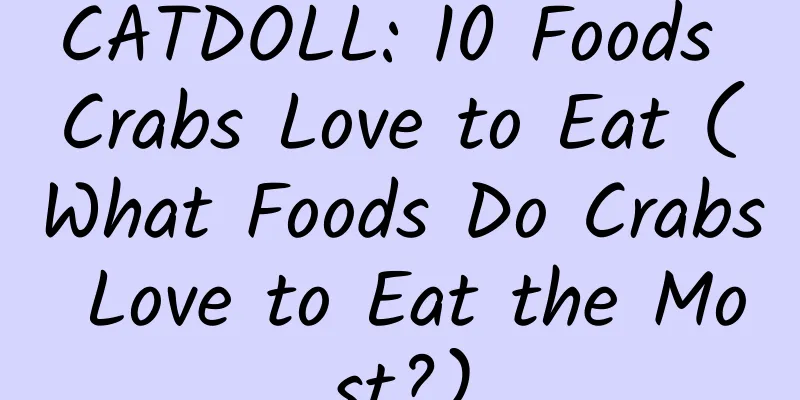 CATDOLL: 10 Foods Crabs Love to Eat (What Foods Do Crabs Love to Eat the Most?)