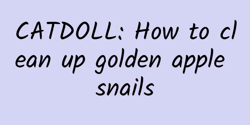 CATDOLL: How to clean up golden apple snails