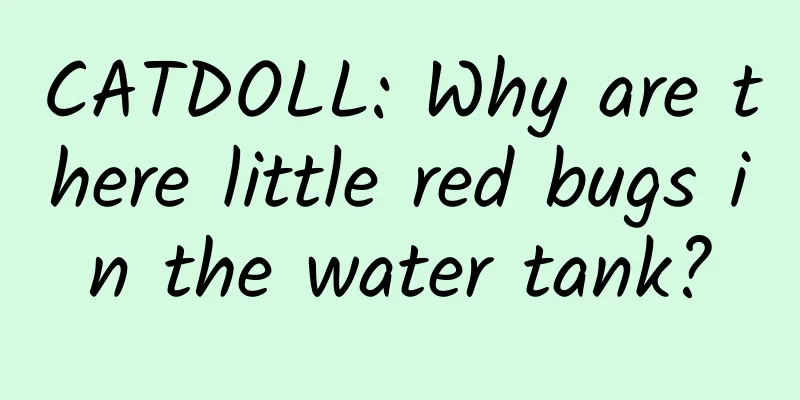 CATDOLL: Why are there little red bugs in the water tank?