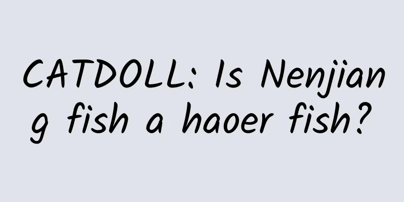 CATDOLL: Is Nenjiang fish a haoer fish?