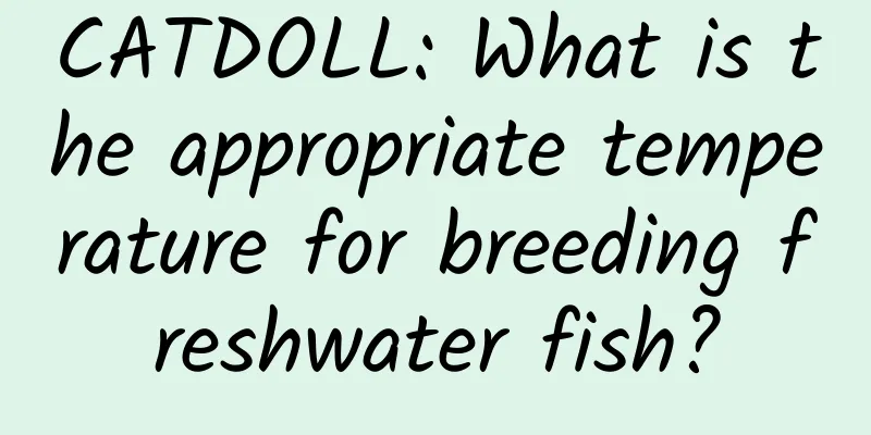 CATDOLL: What is the appropriate temperature for breeding freshwater fish?