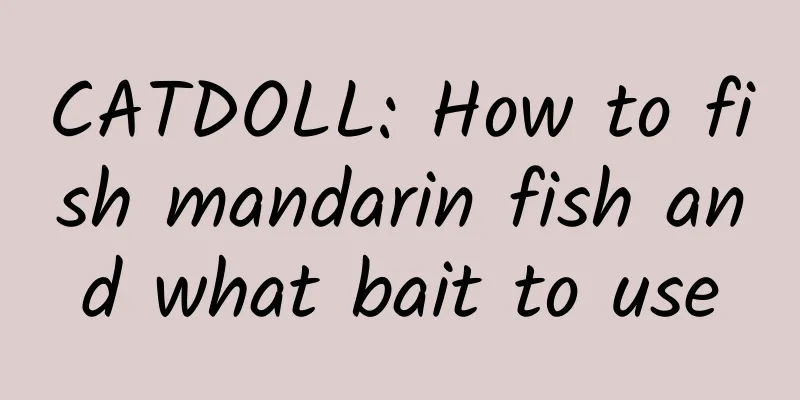CATDOLL: How to fish mandarin fish and what bait to use