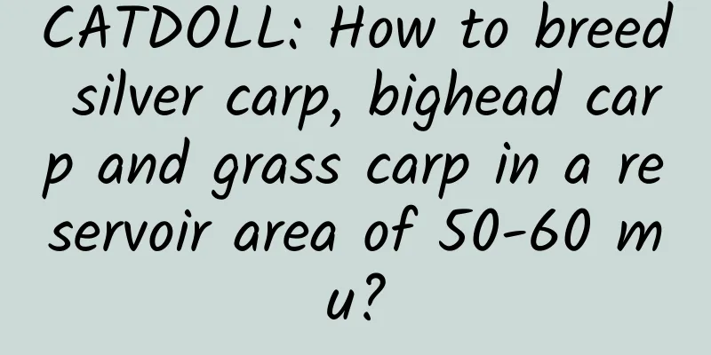 CATDOLL: How to breed silver carp, bighead carp and grass carp in a reservoir area of ​​50-60 mu?