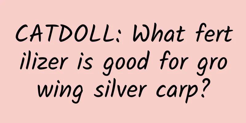 CATDOLL: What fertilizer is good for growing silver carp?