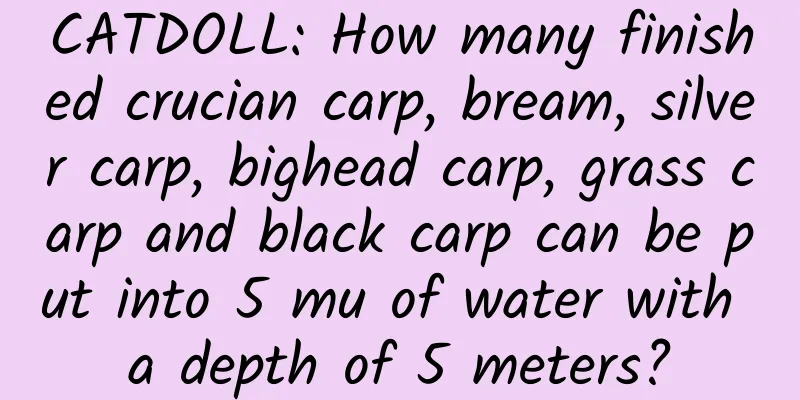 CATDOLL: How many finished crucian carp, bream, silver carp, bighead carp, grass carp and black carp can be put into 5 mu of water with a depth of 5 meters?