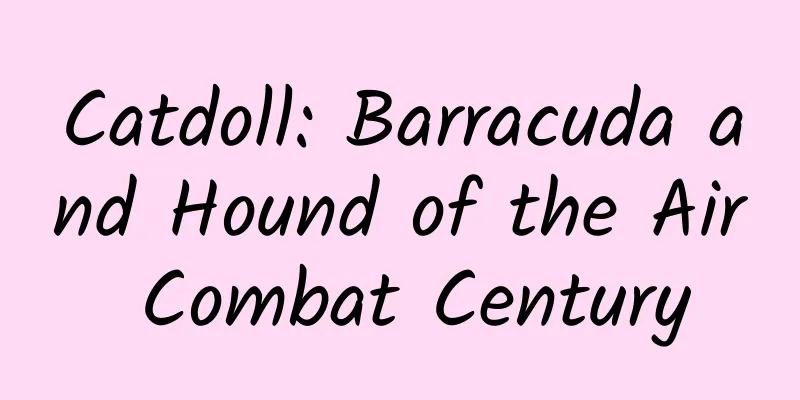 Catdoll: Barracuda and Hound of the Air Combat Century