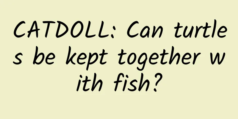 CATDOLL: Can turtles be kept together with fish?