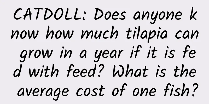 CATDOLL: Does anyone know how much tilapia can grow in a year if it is fed with feed? What is the average cost of one fish?