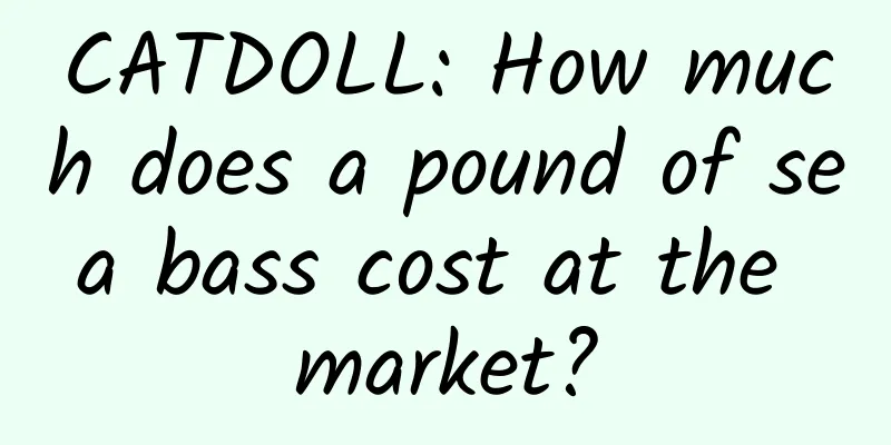 CATDOLL: How much does a pound of sea bass cost at the market?
