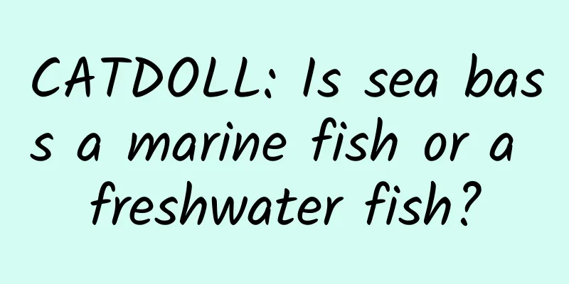 CATDOLL: Is sea bass a marine fish or a freshwater fish?