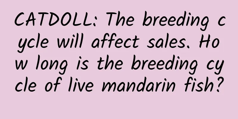 CATDOLL: The breeding cycle will affect sales. How long is the breeding cycle of live mandarin fish?
