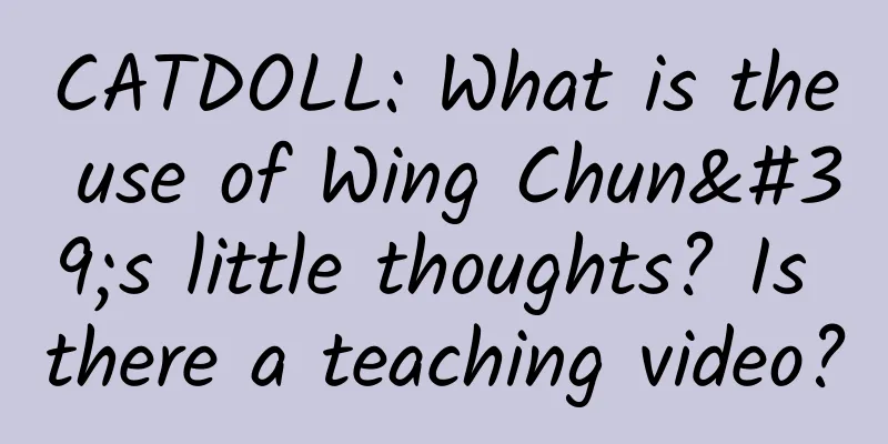 CATDOLL: What is the use of Wing Chun's little thoughts? Is there a teaching video?