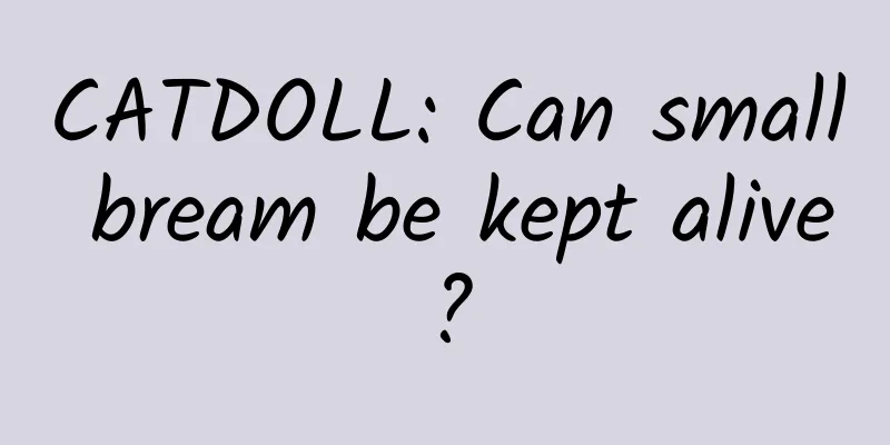 CATDOLL: Can small bream be kept alive?