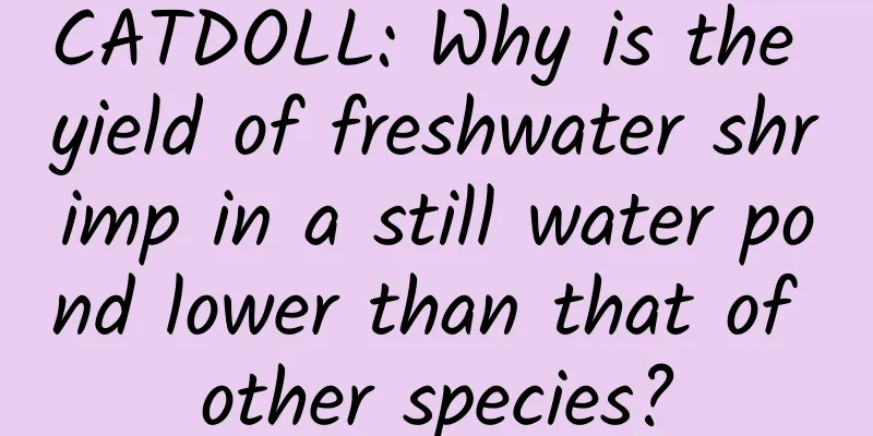 CATDOLL: Why is the yield of freshwater shrimp in a still water pond lower than that of other species?