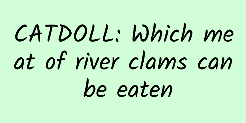 CATDOLL: Which meat of river clams can be eaten