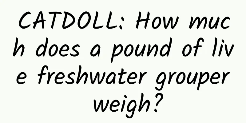 CATDOLL: How much does a pound of live freshwater grouper weigh?