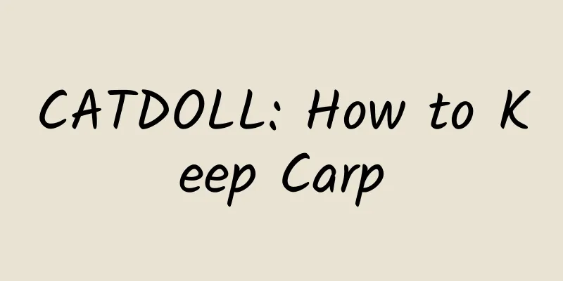 CATDOLL: How to Keep Carp