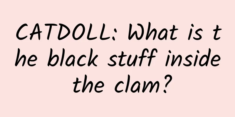 CATDOLL: What is the black stuff inside the clam?