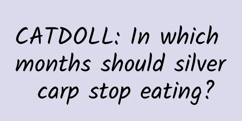 CATDOLL: In which months should silver carp stop eating?